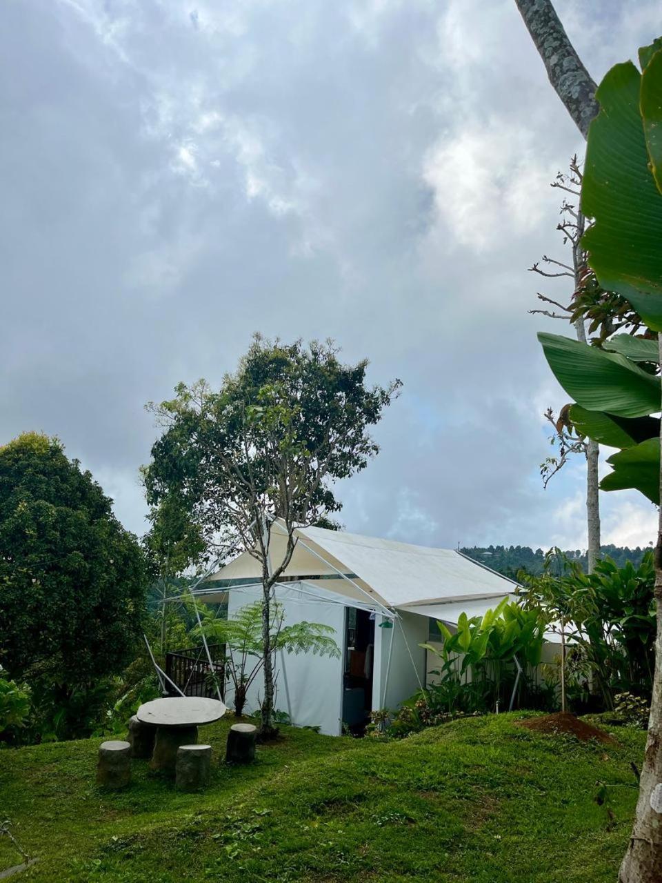Harsa Eco Luxury Camp Hotel Gobleg  Exterior photo